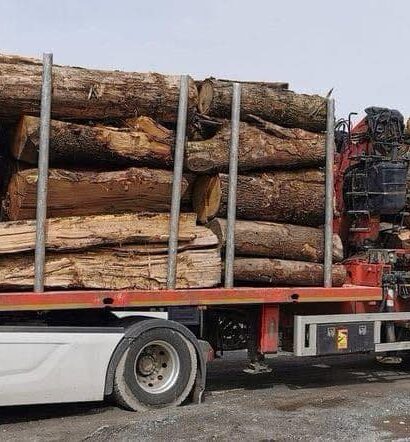 CHÂTAIGNIER EN GRUME, CAMION DE 50M3